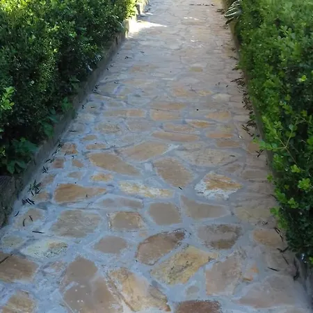 Maria איפסוס
